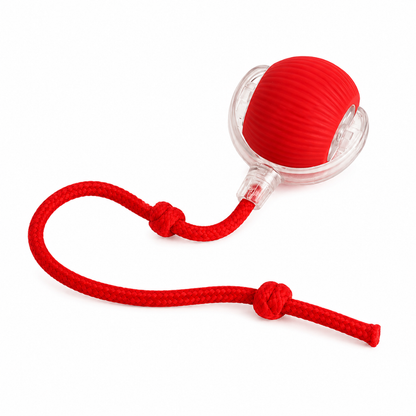 Pelota Interactiva Inteligente para Mascotas